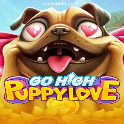GoHighPuppyLove: A Gaming Experience with CctvKK
